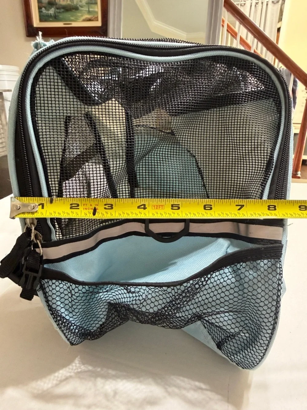Paws & Pals Light Blue Pet Carrier with Black Mesh